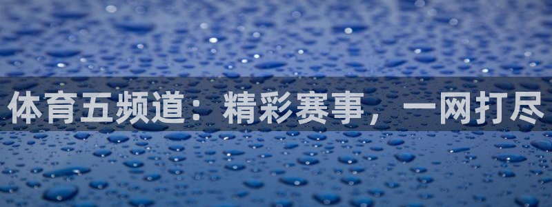 鲸鱼体育免费观看高清：体育五频道：精彩赛事，一网打尽