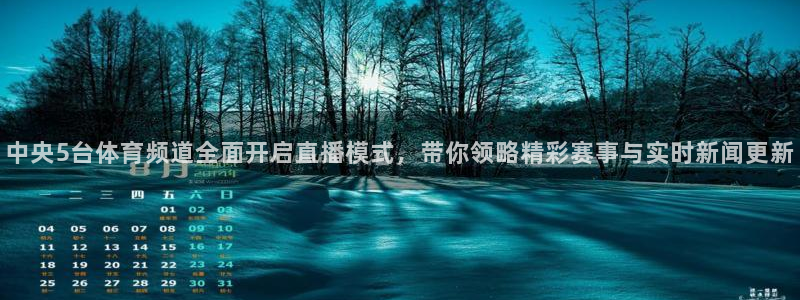 鲸鱼体育怎么看直播：中央5台体育频道全面开启直播模式，带你领略精彩赛事与实时新闻更新