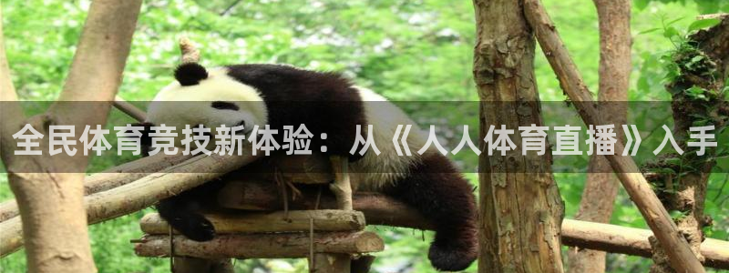 蓝鲸鱼直播：全民体育竞技新体验：从《人人体育直播》入手