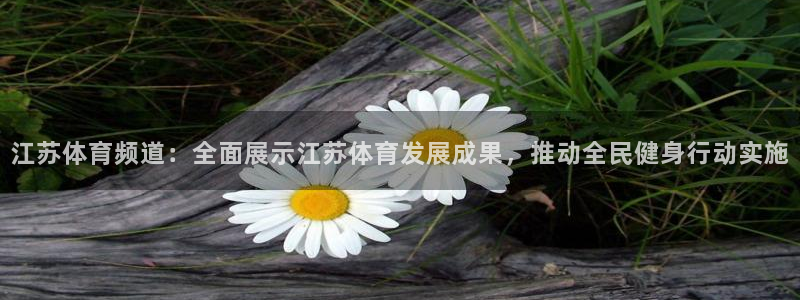 足球鲸鱼直播：江苏体育频道：全面展示江苏体育发展成果，推动全民健身行动实施