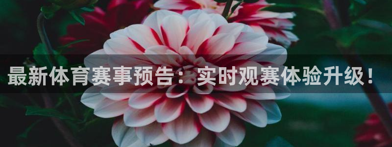 鲸鱼体育直播免费观看：最新体育赛事预告：实时观赛体验升级！