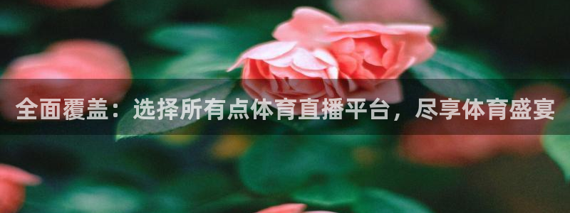 鲸鱼足球体育直播：全面覆盖：选择所有点体育直播平台，尽享体育盛宴