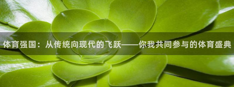 鲸鱼体育直播下载最新版：体育强国：从传统向现代的飞跃——你我共同参与的体育盛典