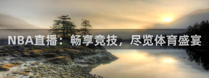 鲸鱼足球体育直播：NBA直播：畅享竞技，尽览体育盛宴