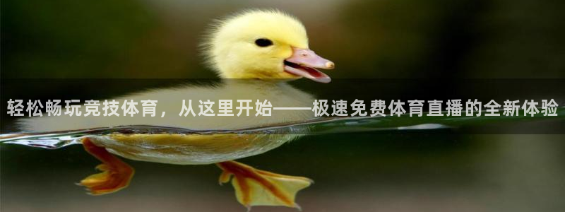 鲸鱼体育在线观看nba：轻松畅玩竞技体育，从这里开始——极速免费体育直播的全新体验