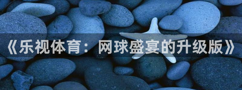鲸鱼体育直播：《乐视体育：网球盛宴的升级版》