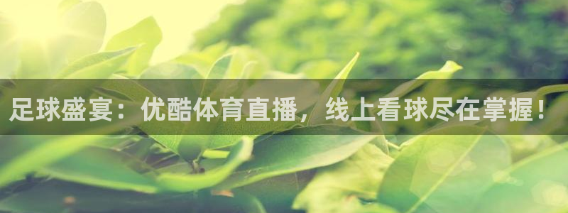 下载鲸鱼体育直播：足球盛宴：优酷体育直播，线上看球尽在掌握！