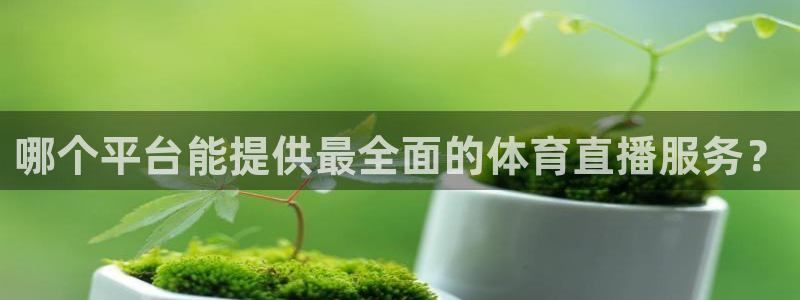 鲸鱼体育直播在线观看高清：哪个平台能提供最全面的体育直播服务？