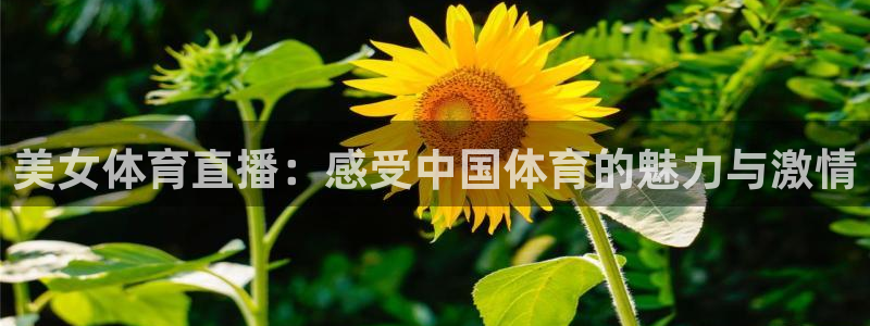 鲸鱼体育tv：美女体育直播：感受中国体育的魅力与激情