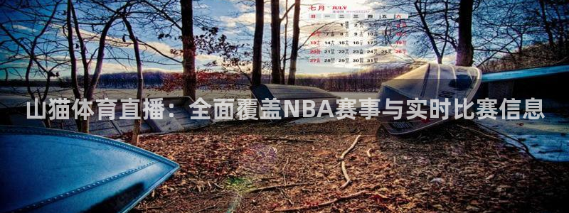 鲸鱼体育网址是什么：山猫体育直播：全面覆盖NBA赛事与实时比赛信息